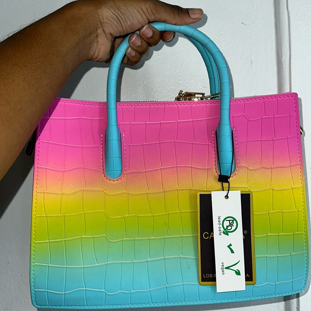 Multicolor Jelly Bag
